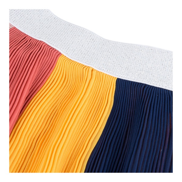 Multicolored Pleated Skirt